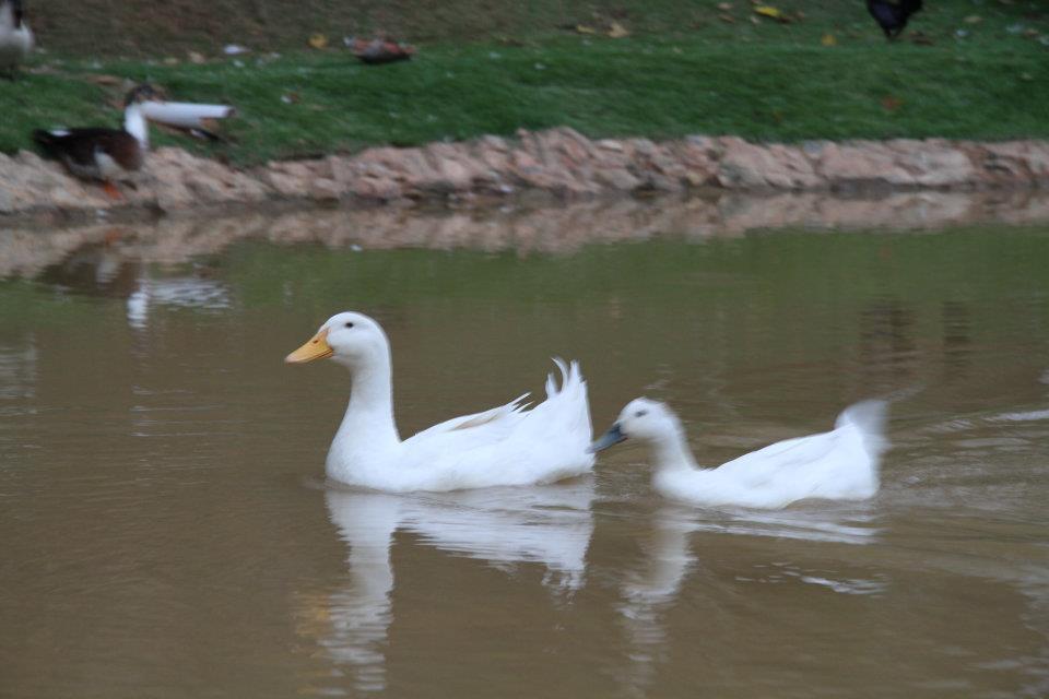 Pousada Vale Da Serra سيرا نيجرا المظهر الخارجي الصورة
